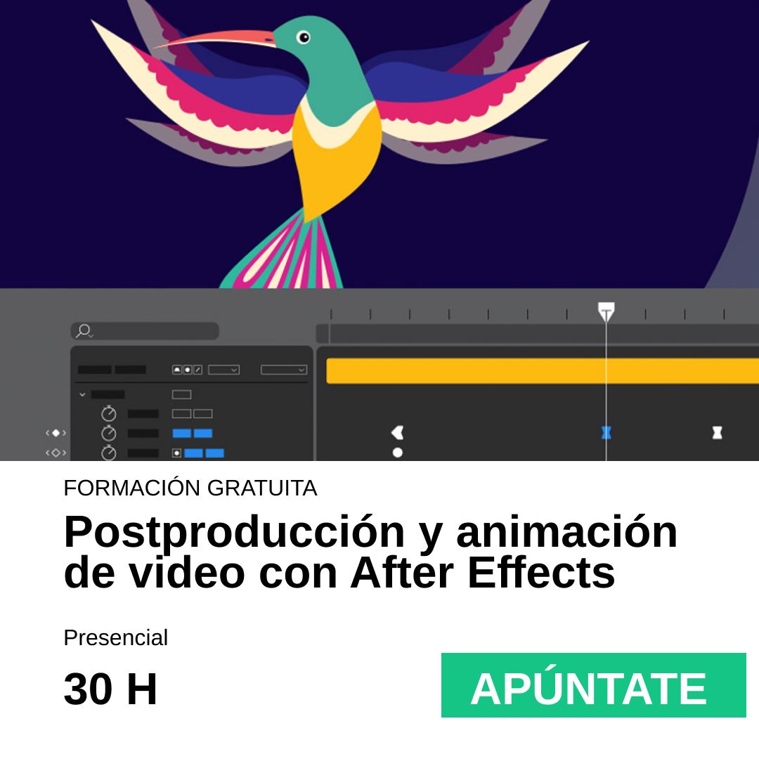 Postproducción y animación de video con After Effects 30 Horas